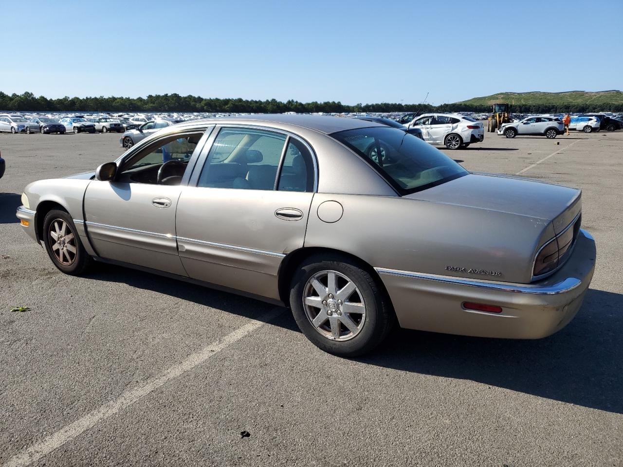 Lot #2955246613 2004 BUICK PARK AVENU