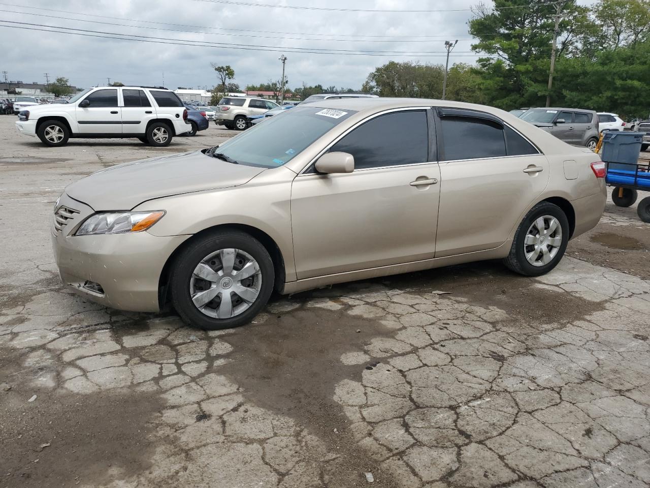 Lot #2876805337 2009 TOYOTA CAMRY BASE