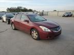 NISSAN ALTIMA BAS photo