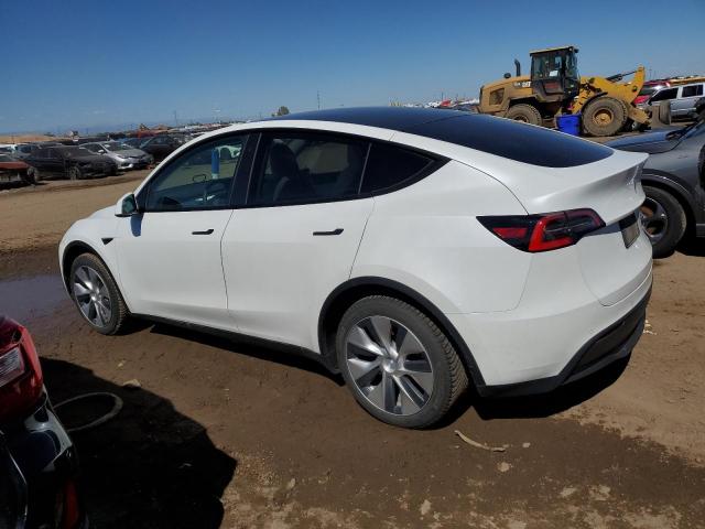 2021 TESLA MODEL Y - 5YJYGDEE2MF088017