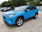 TOYOTA RAV4 XLE photo