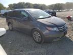 HONDA ODYSSEY EX photo