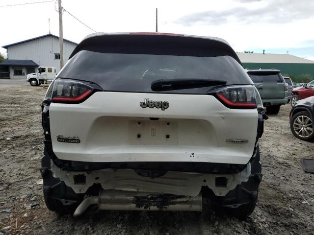 2019 JEEP CHEROKEE L - 1C4PJMCBXKD239633