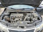 KIA FORTE EX photo