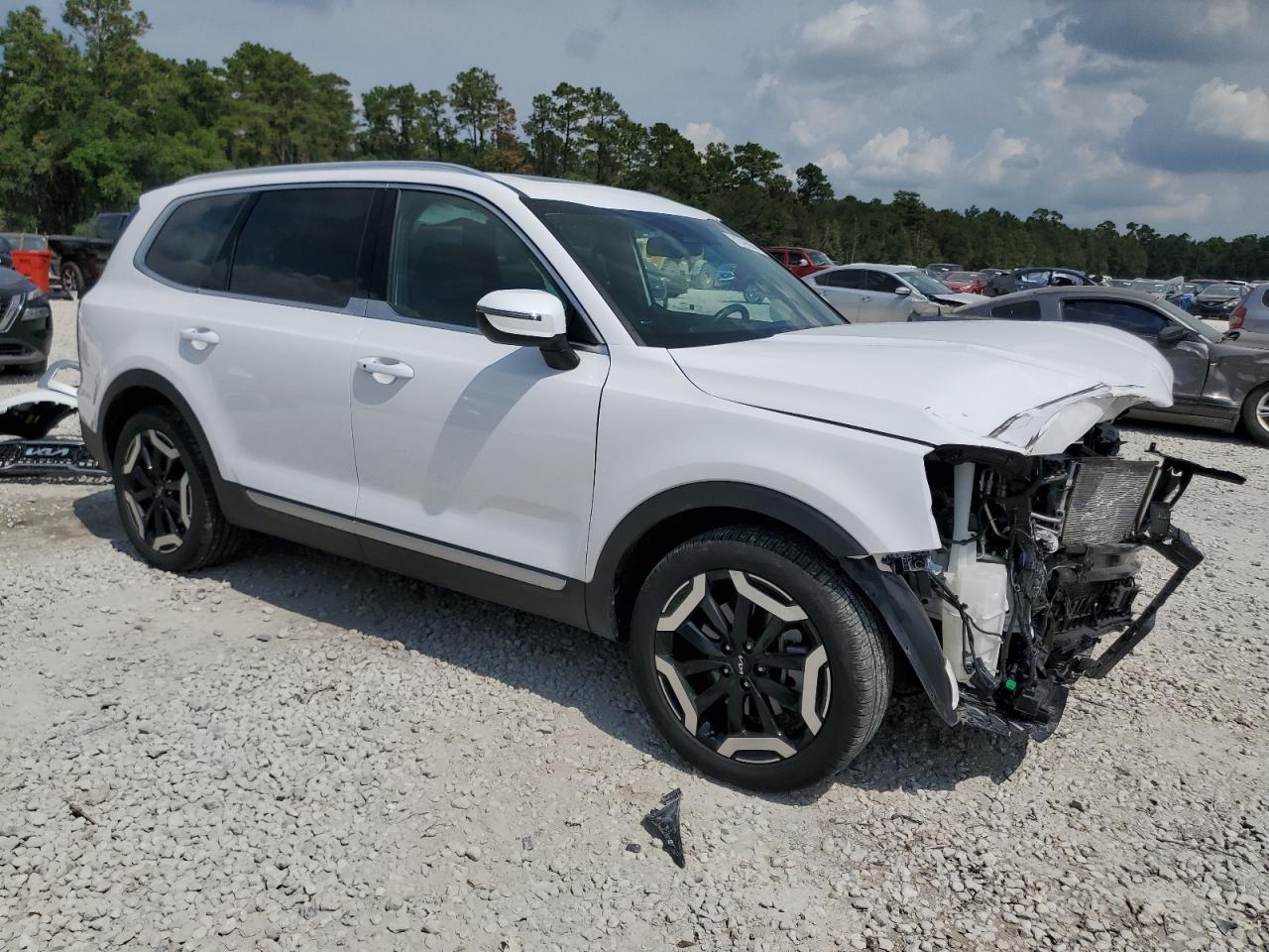 Lot #2943096450 2024 KIA TELLURIDE