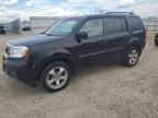 HONDA PILOT EX photo