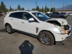 CADILLAC SRX LUXURY photo