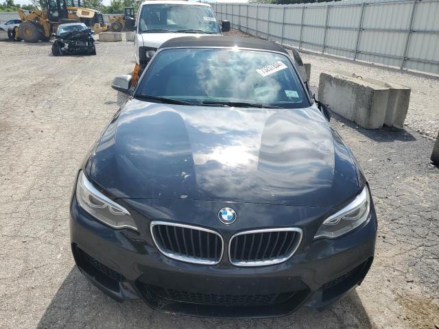 VIN WBA1M1C52GV394388 2016 BMW M2 no.5