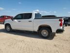 Lot #3023626280 2021 CHEVROLET SILVERADO