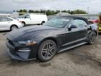 2020 FORD MUSTANG - 1FATP8UH5L5131364