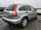 HONDA CR-V EX photo