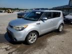 KIA SOUL + photo