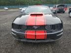 FORD MUSTANG photo