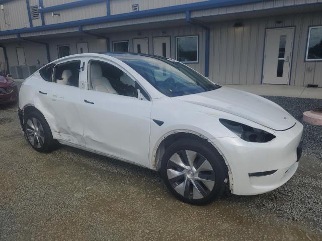 2021 TESLA MODEL Y - 5YJYGDEE8MF256825