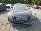 HYUNDAI SONATA SPO photo