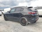 ALFA ROMEO STELVIO photo