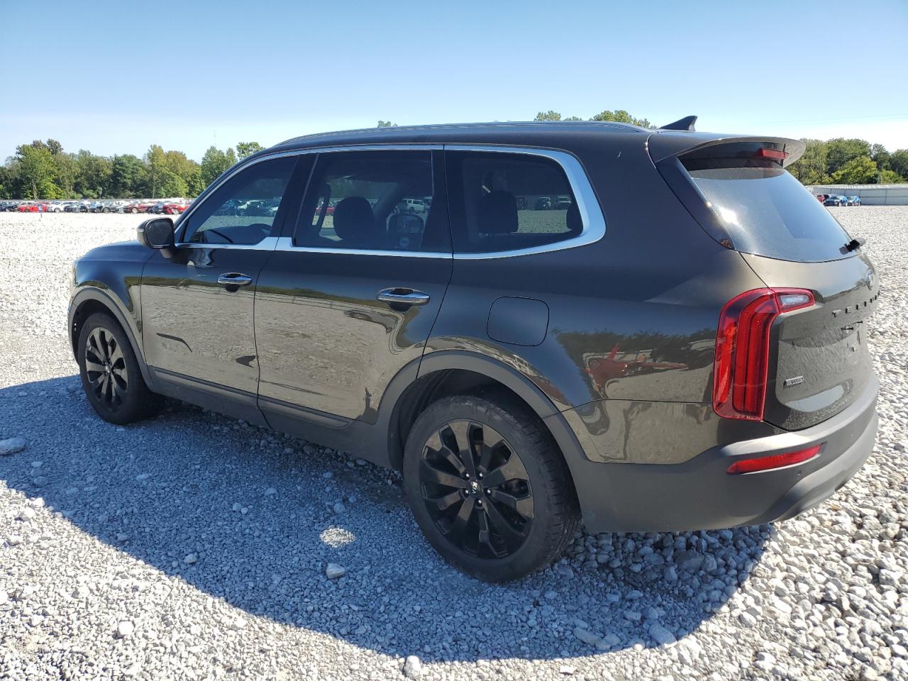 Lot #2821573058 2021 KIA TELLURIDE