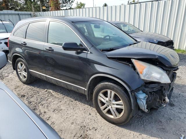 2010 HONDA CR-V EXL JHLRE4H71AC006085  71659544