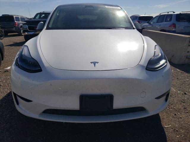 2023 TESLA MODEL Y - 7SAYGAEE6PF760327