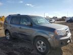 HONDA PILOT EXL 5FNYF48509B040117 снимка