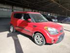 KIA SOUL + photo