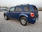 Lot #3024075638 2008 FORD ESCAPE HEV