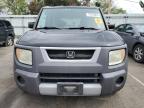 HONDA ELEMENT EX photo