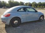 VOLKSWAGEN BEETLE photo