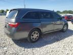 HONDA ODYSSEY EX photo