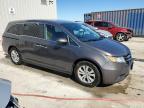 HONDA ODYSSEY EX photo