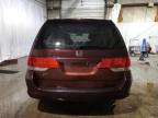 Lot #2935283338 2009 HONDA ODYSSEY EX