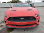 FORD MUSTANG photo