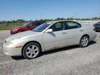 LEXUS ES 330 photo