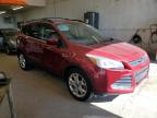 FORD ESCAPE SE photo