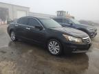 HONDA ACCORD EXL photo