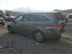 HONDA ODYSSEY EX photo