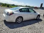 NISSAN ALTIMA BAS photo