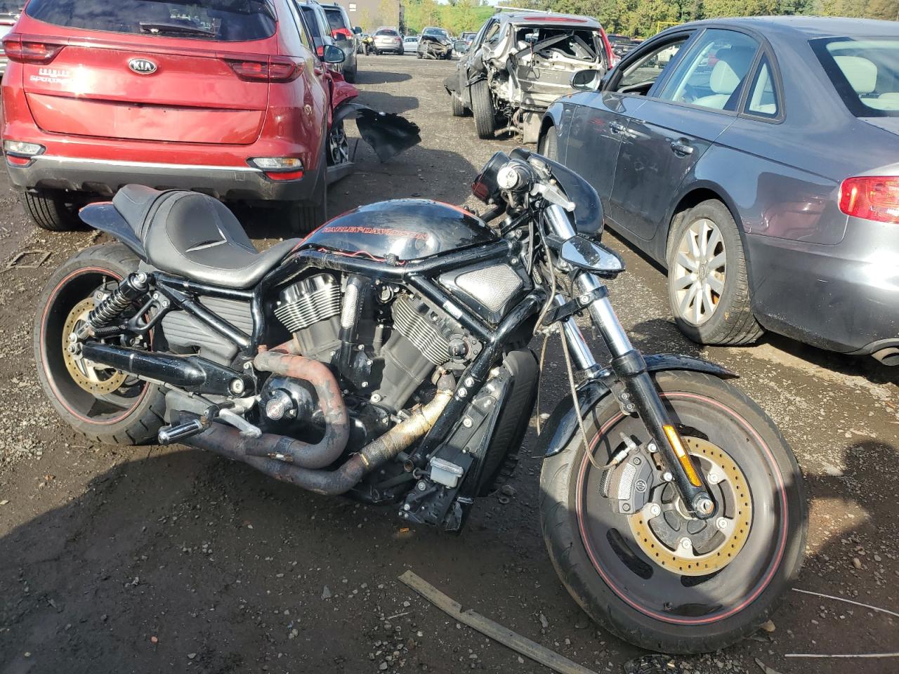 Harley Davidson Night Rod Special 2008 VRSCDX