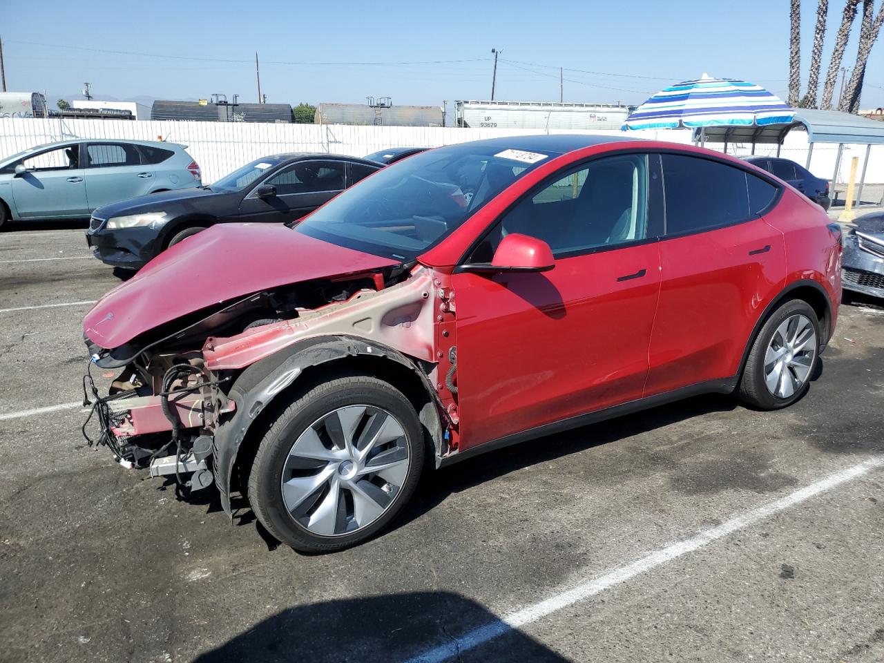 Lot #2986316203 2023 TESLA MODEL Y