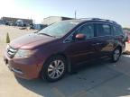 HONDA ODYSSEY EX снимка