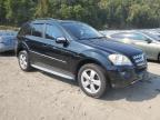 MERCEDES-BENZ ML 350 photo