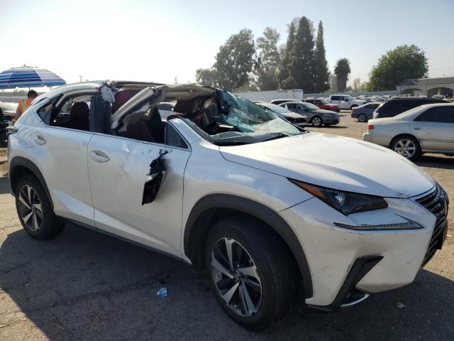 2021 LEXUS NX 300 BAS - JTJGARBZ0M5025434