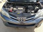 TOYOTA RAV4 XLE photo