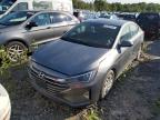 HYUNDAI ELANTRA SE photo