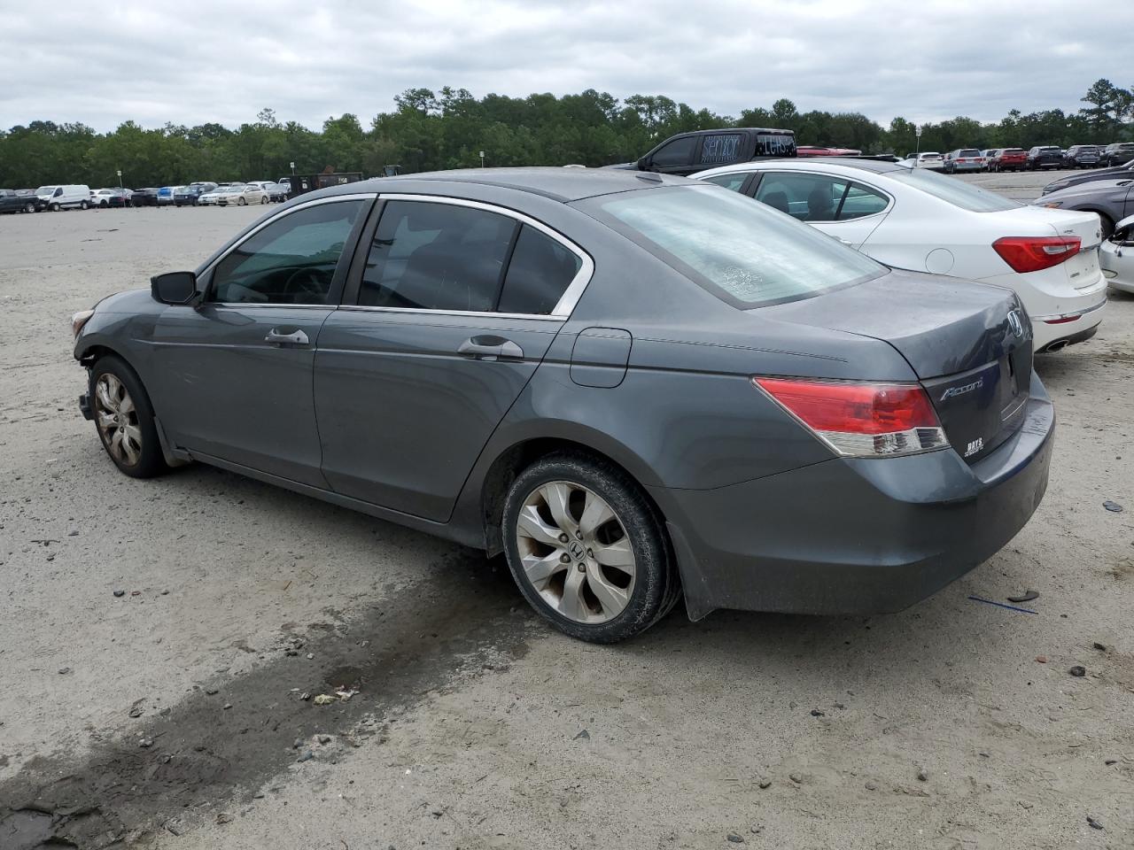 Lot #3025781313 2009 HONDA ACCORD EXL