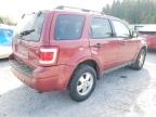 FORD ESCAPE XLT photo