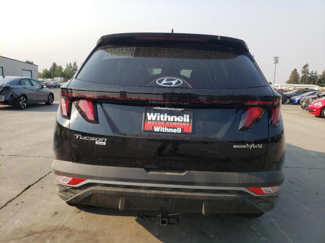 2024 HYUNDAI TUCSON BLU - KM8JBCD15RU234364