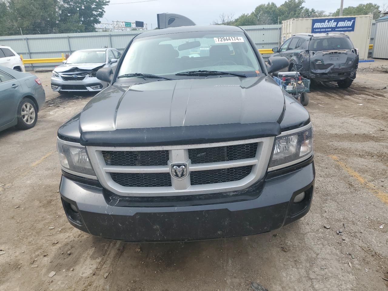 Lot #2989393676 2010 DODGE DAKOTA SXT