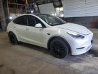 TESLA MODEL Y снимка