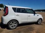 KIA SOUL + photo